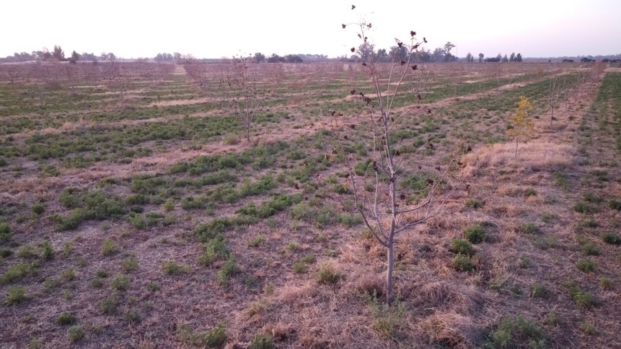  Bedroom Property for Sale in Jan Kempdorp Rural Northern Cape